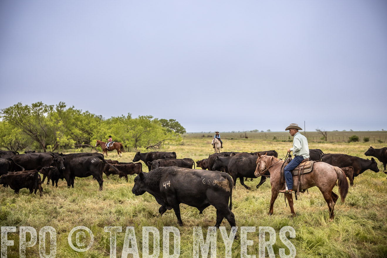 TMyers_PP_CircleBarRanch_TruscottTX_April2024-511361