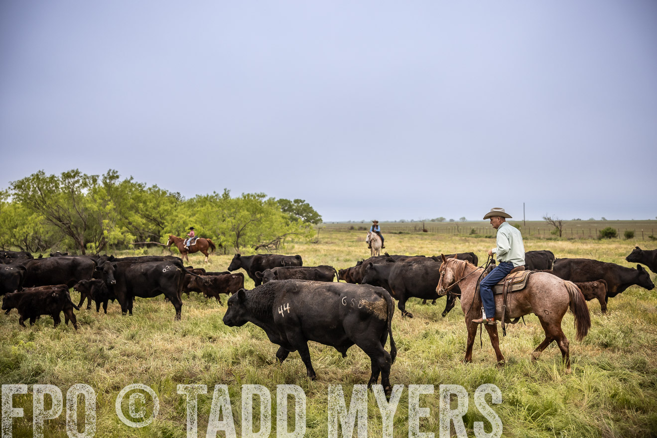 TMyers_PP_CircleBarRanch_TruscottTX_April2024-511362