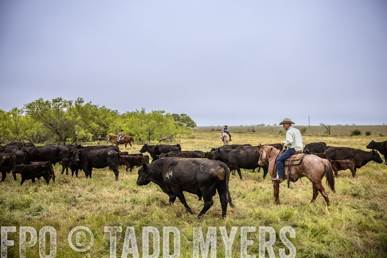 TMyers_PP_CircleBarRanch_TruscottTX_April2024-511364
