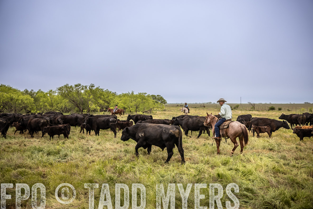 TMyers_PP_CircleBarRanch_TruscottTX_April2024-511367