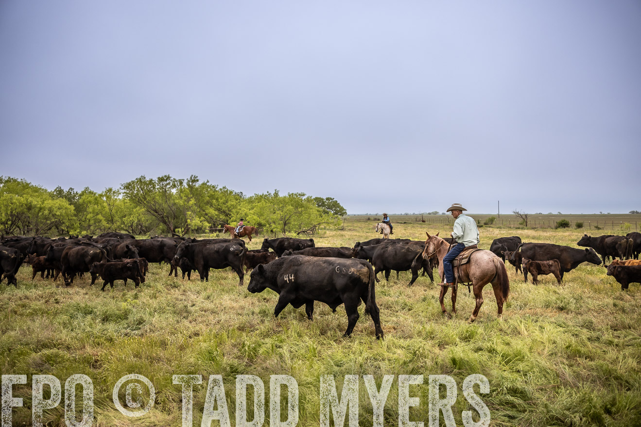 TMyers_PP_CircleBarRanch_TruscottTX_April2024-511368