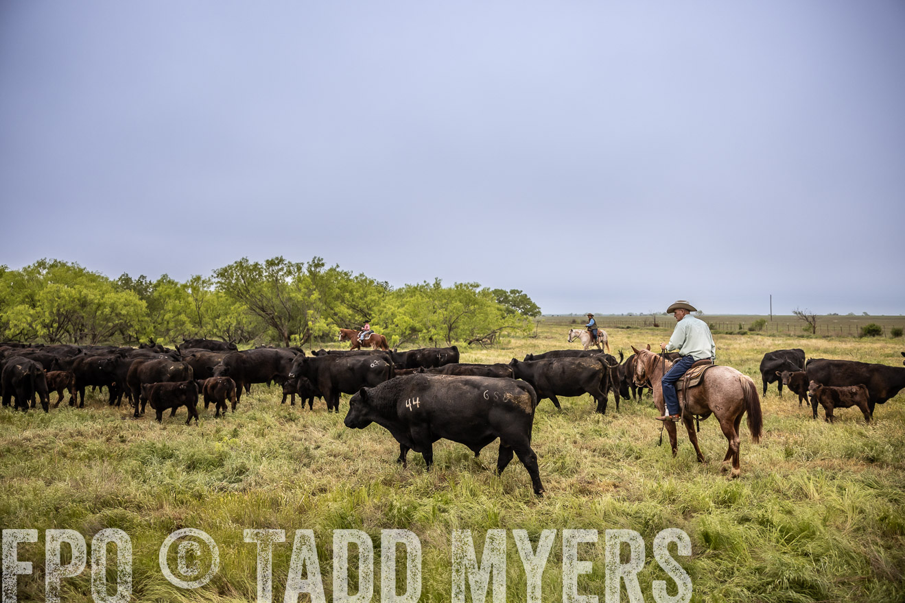 TMyers_PP_CircleBarRanch_TruscottTX_April2024-511374