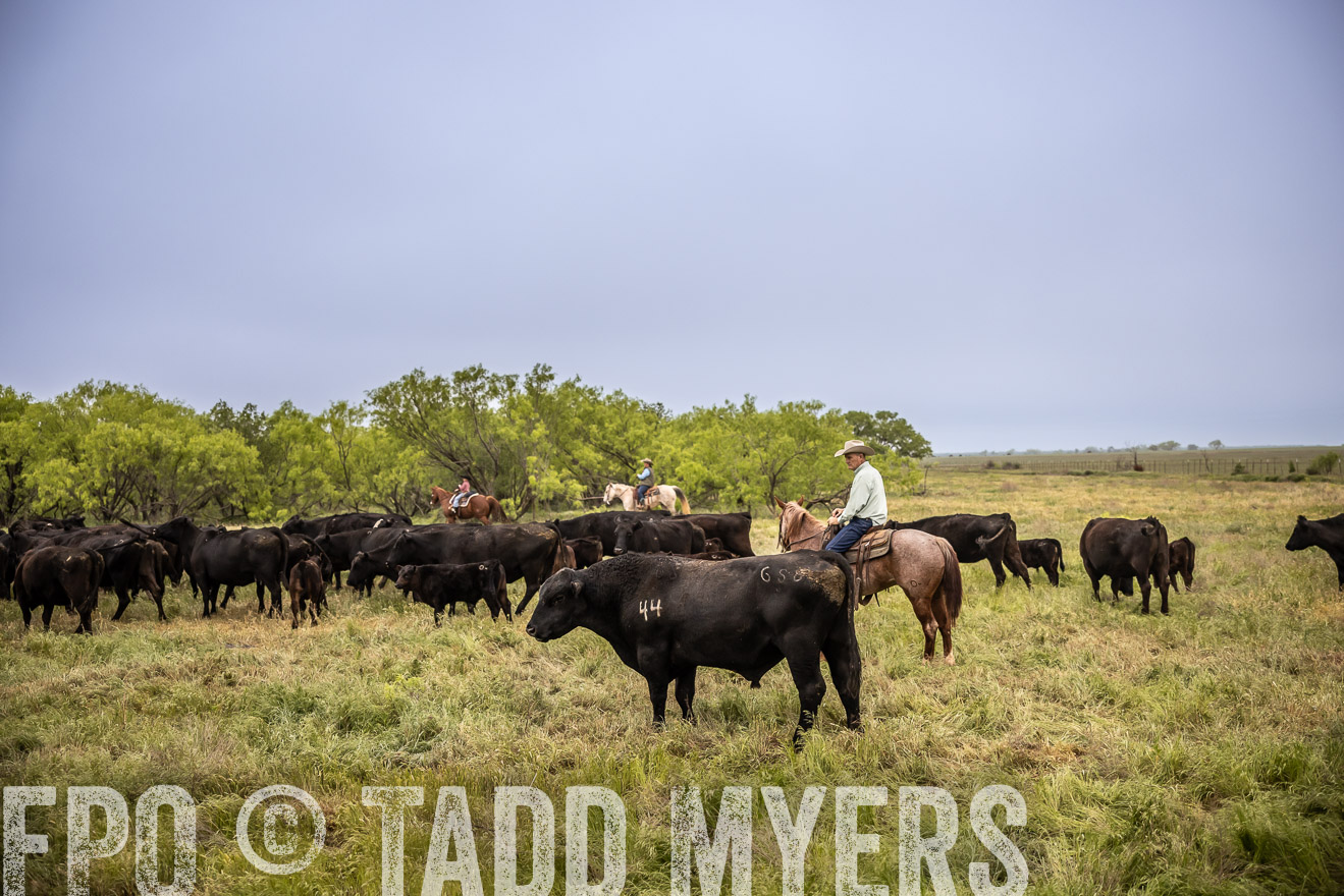 TMyers_PP_CircleBarRanch_TruscottTX_April2024-511403