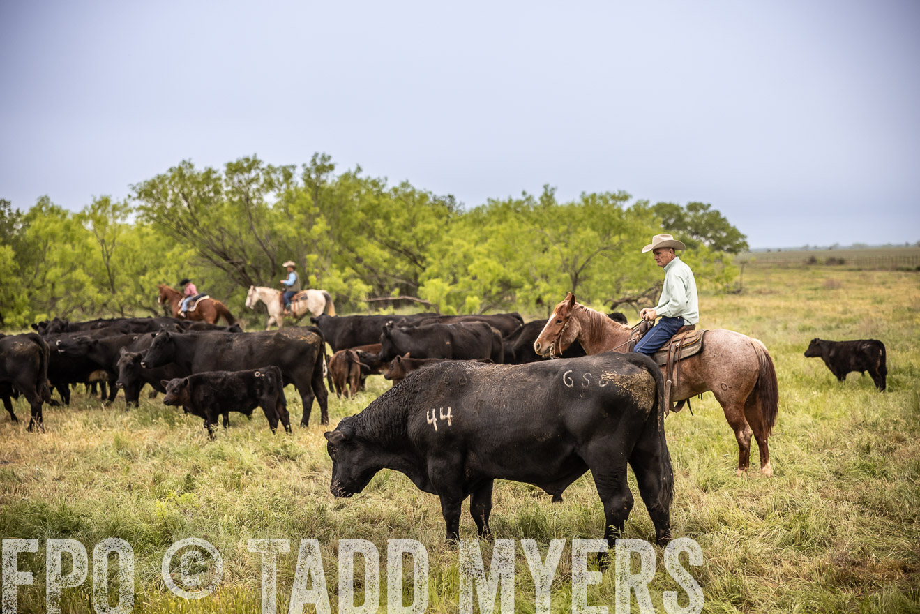 TMyers_PP_CircleBarRanch_TruscottTX_April2024-511412