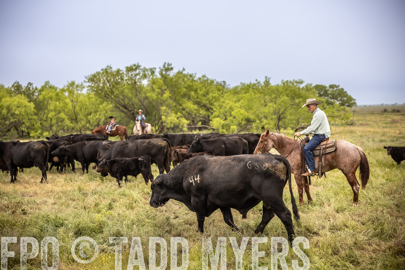 TMyers_PP_CircleBarRanch_TruscottTX_April2024-511417