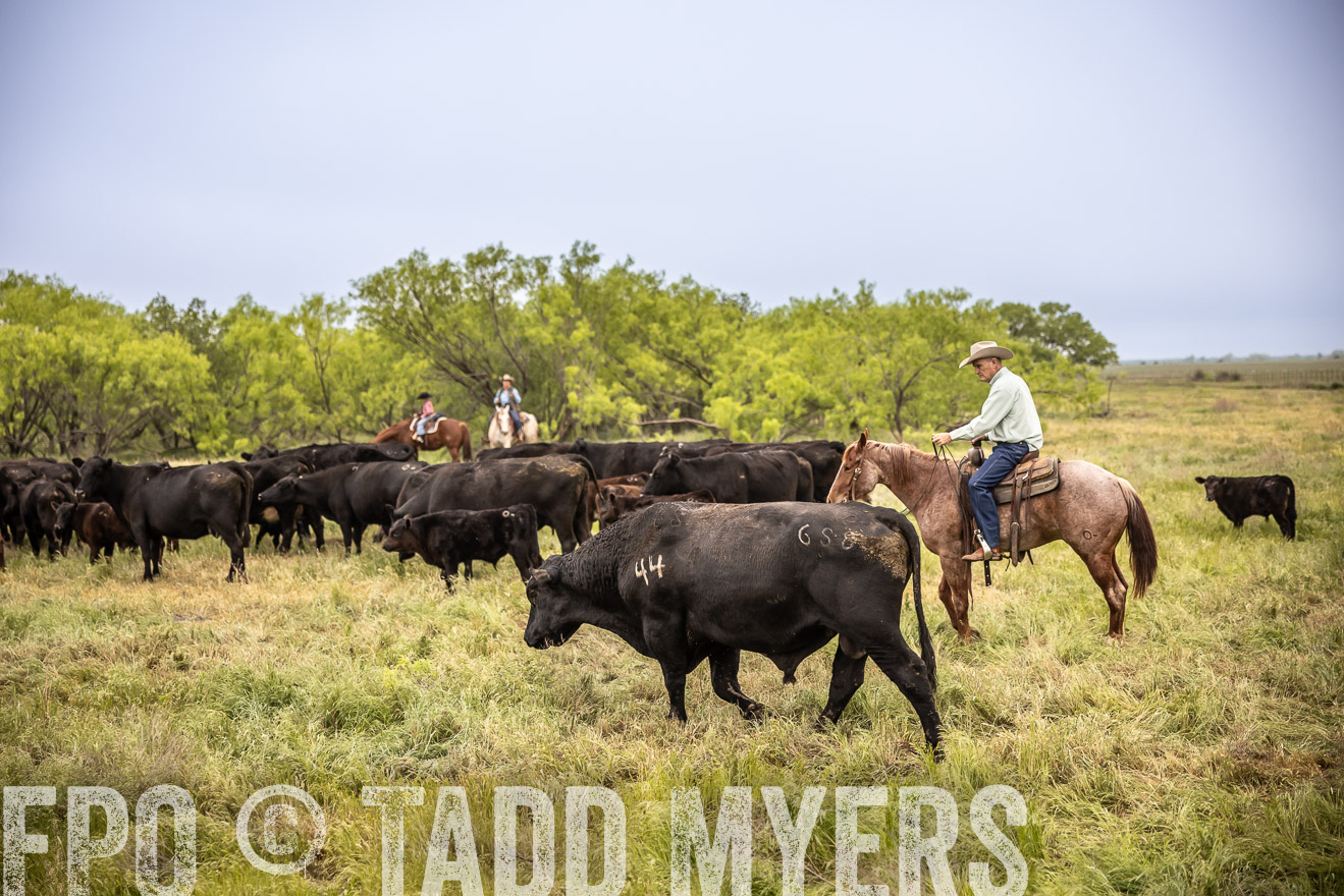 TMyers_PP_CircleBarRanch_TruscottTX_April2024-511418
