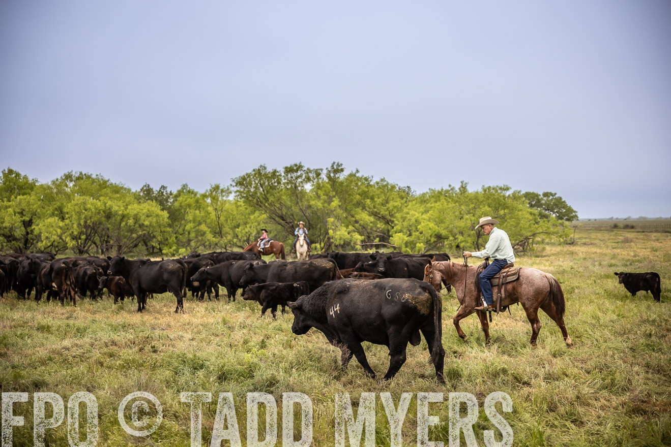 TMyers_PP_CircleBarRanch_TruscottTX_April2024-511419