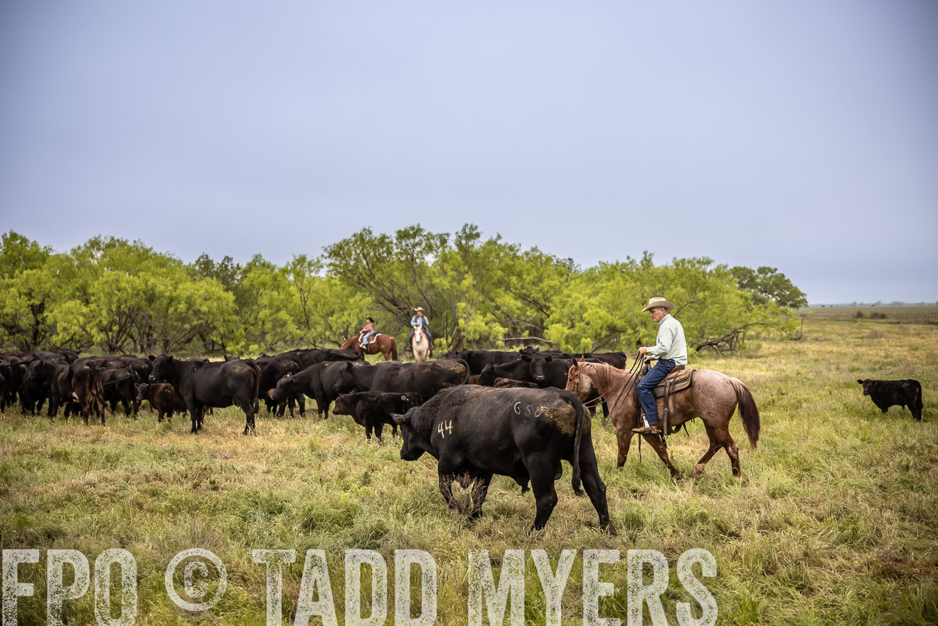 TMyers_PP_CircleBarRanch_TruscottTX_April2024-511422