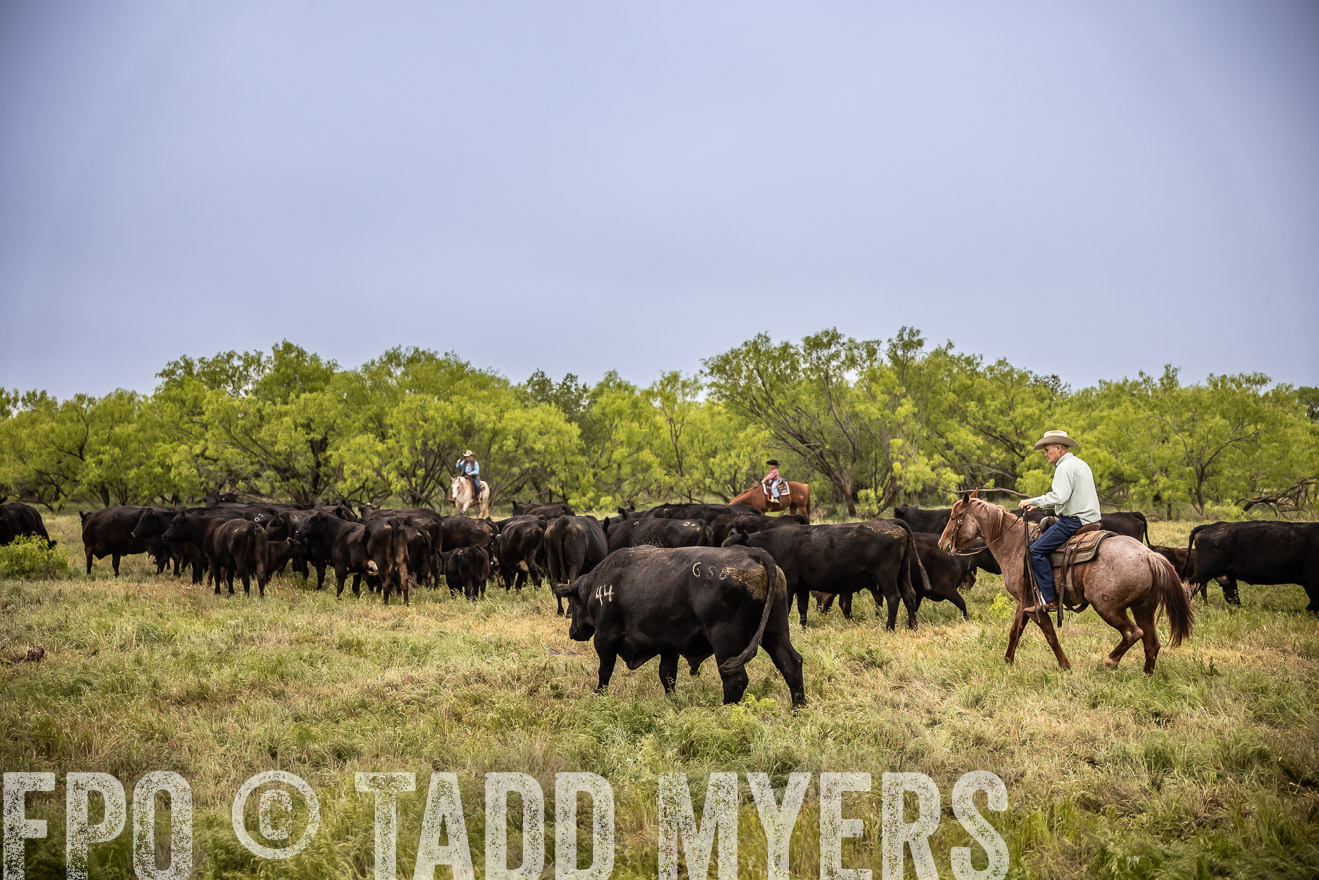 TMyers_PP_CircleBarRanch_TruscottTX_April2024-511440