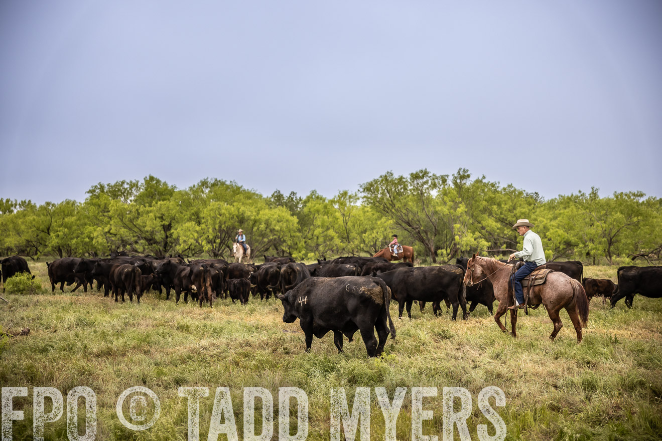 TMyers_PP_CircleBarRanch_TruscottTX_April2024-511442