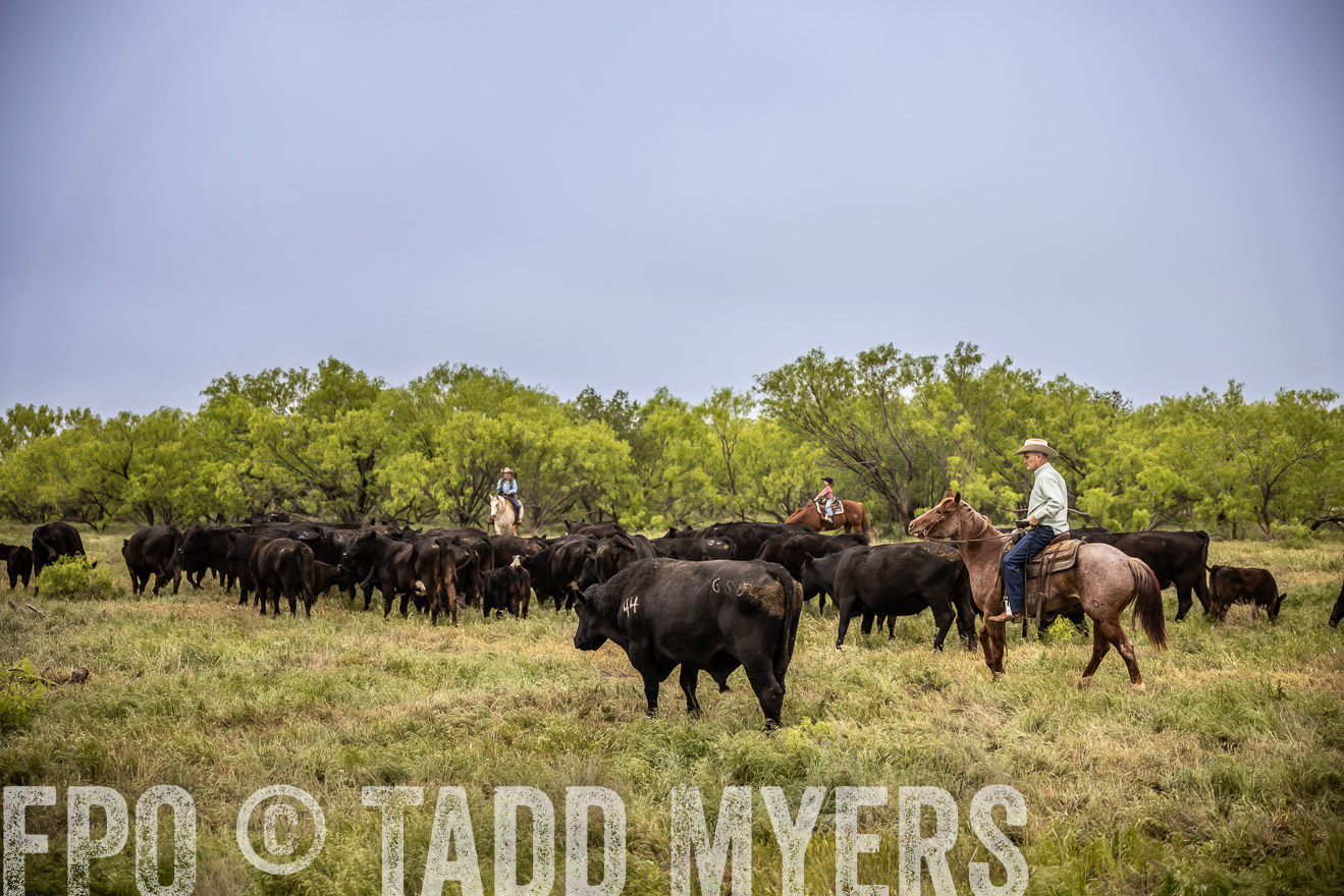 TMyers_PP_CircleBarRanch_TruscottTX_April2024-511444