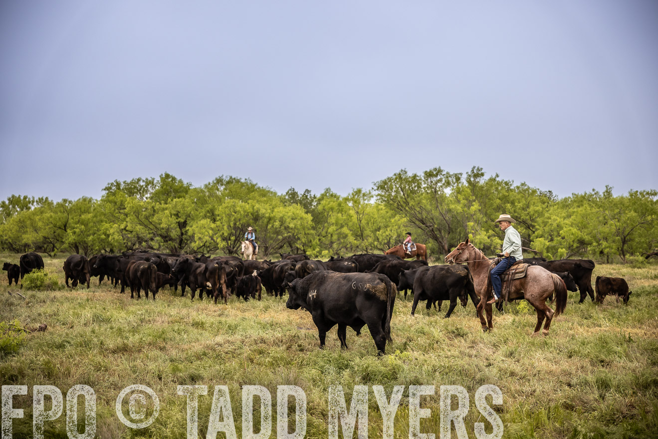 TMyers_PP_CircleBarRanch_TruscottTX_April2024-511446