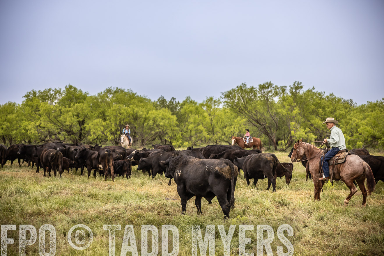 TMyers_PP_CircleBarRanch_TruscottTX_April2024-511448