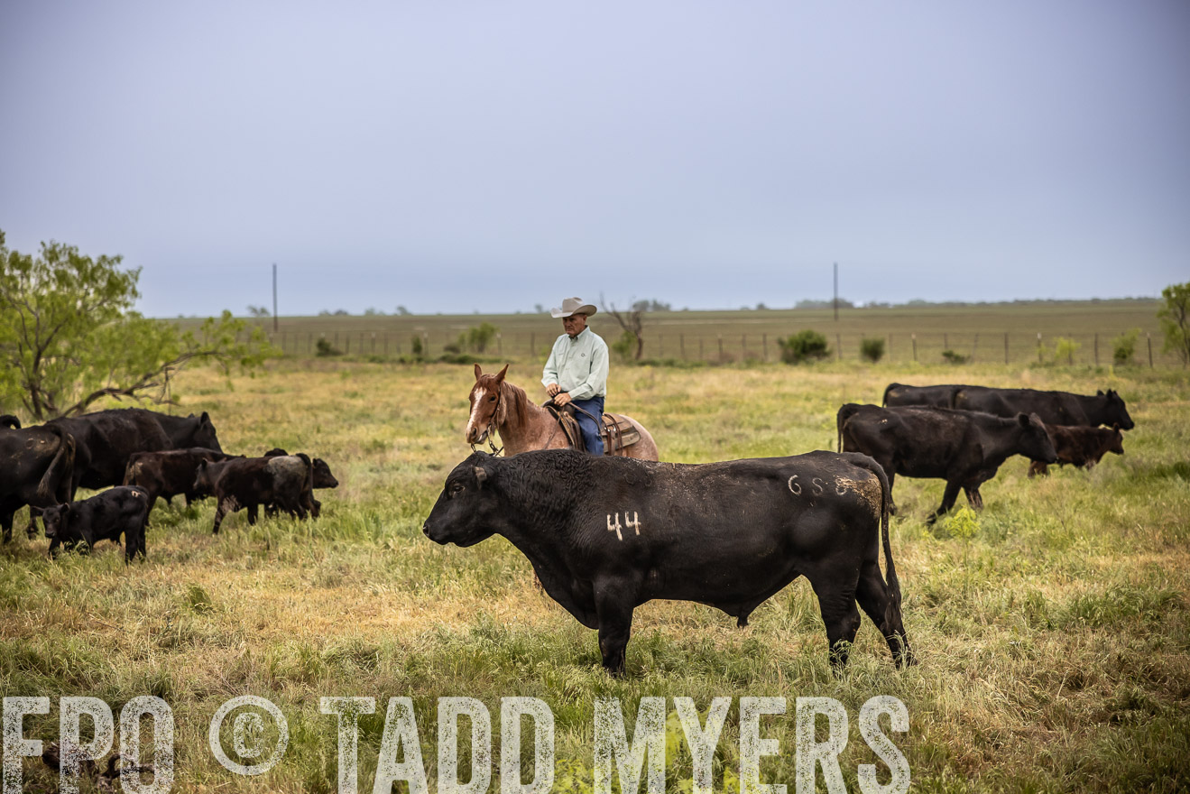 TMyers_PP_CircleBarRanch_TruscottTX_April2024-511450