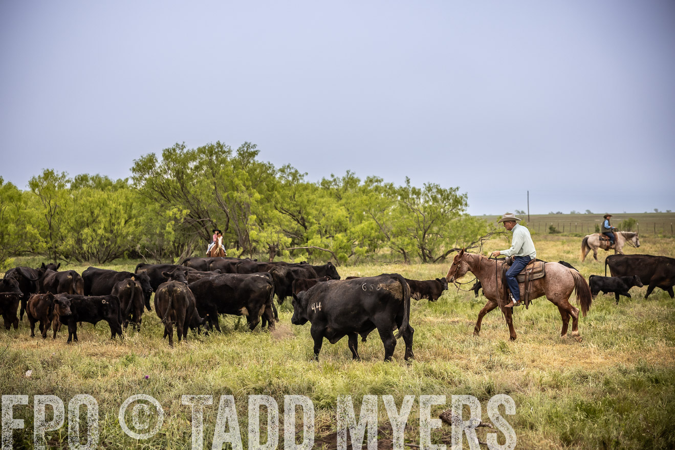 TMyers_PP_CircleBarRanch_TruscottTX_April2024-511461