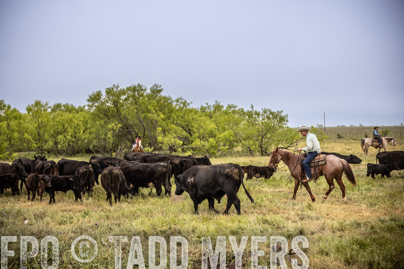 TMyers_PP_CircleBarRanch_TruscottTX_April2024-511463