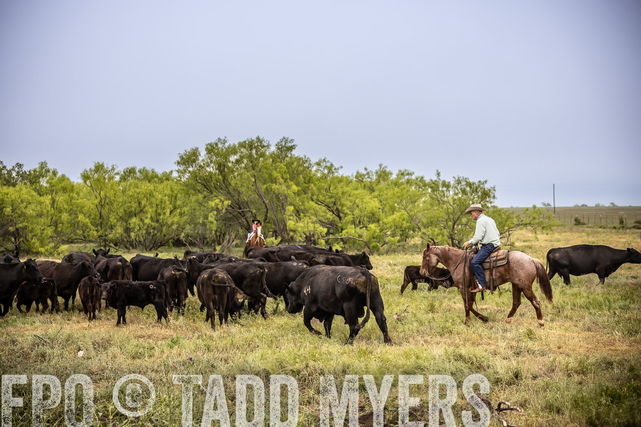 TMyers_PP_CircleBarRanch_TruscottTX_April2024-511466