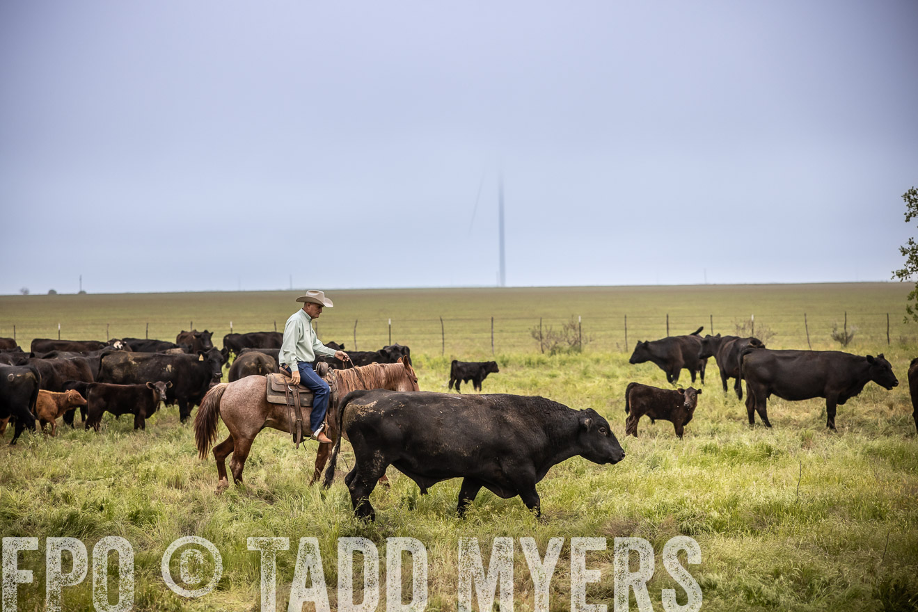 TMyers_PP_CircleBarRanch_TruscottTX_April2024-511489