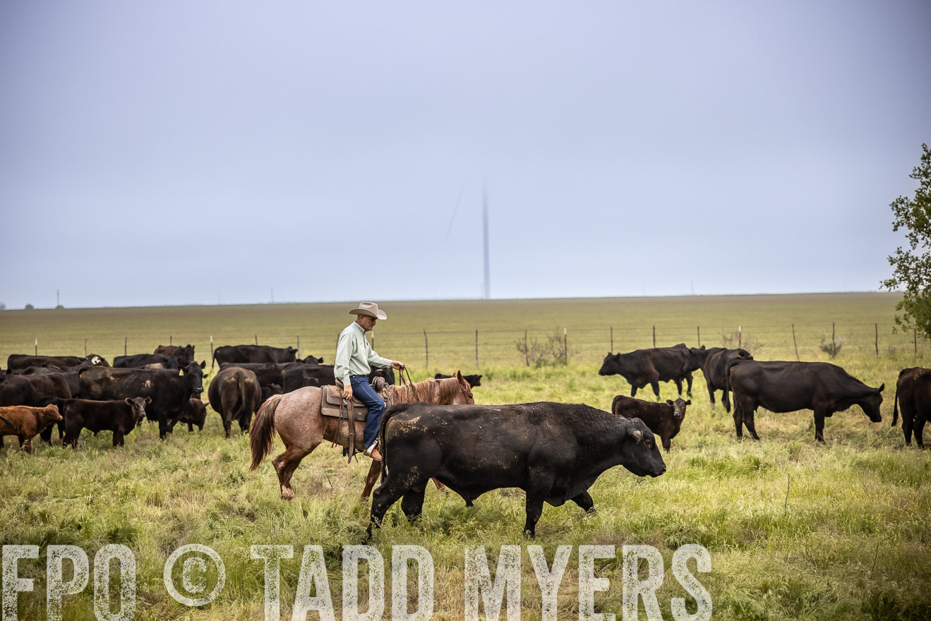 TMyers_PP_CircleBarRanch_TruscottTX_April2024-511493