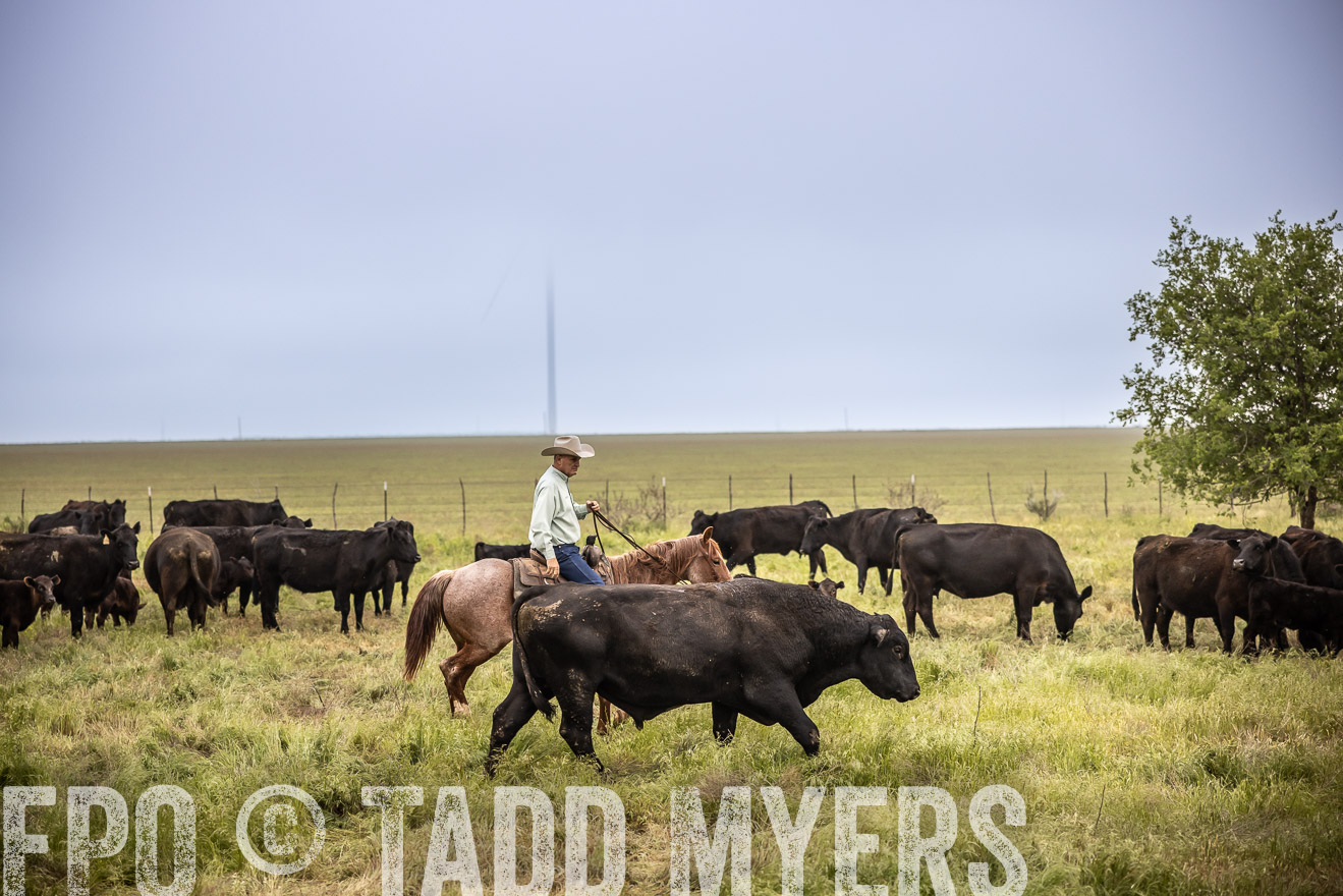 TMyers_PP_CircleBarRanch_TruscottTX_April2024-511499