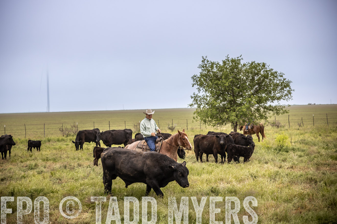 TMyers_PP_CircleBarRanch_TruscottTX_April2024-511506