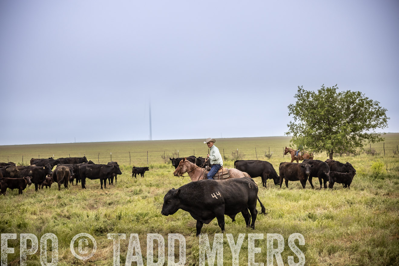 TMyers_PP_CircleBarRanch_TruscottTX_April2024-511519