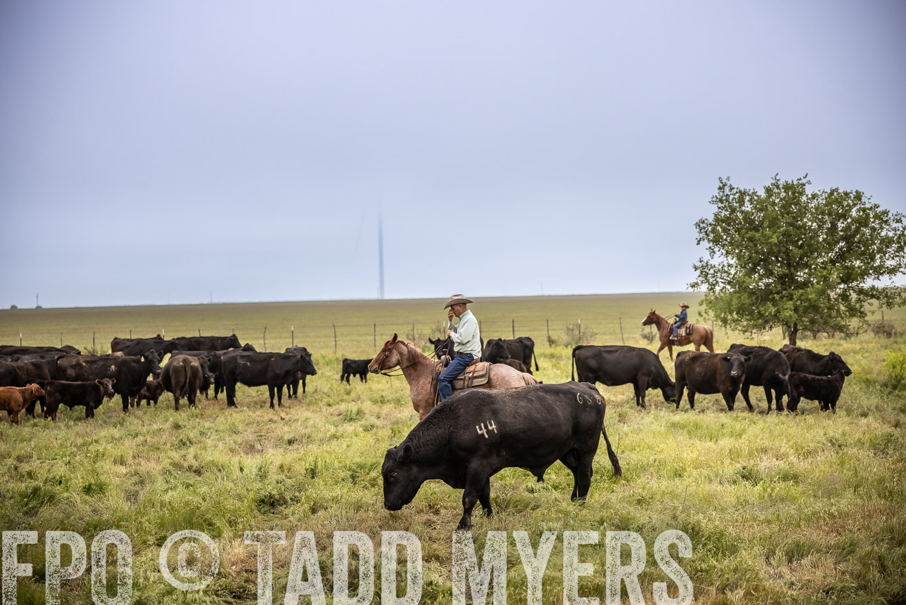 TMyers_PP_CircleBarRanch_TruscottTX_April2024-511523