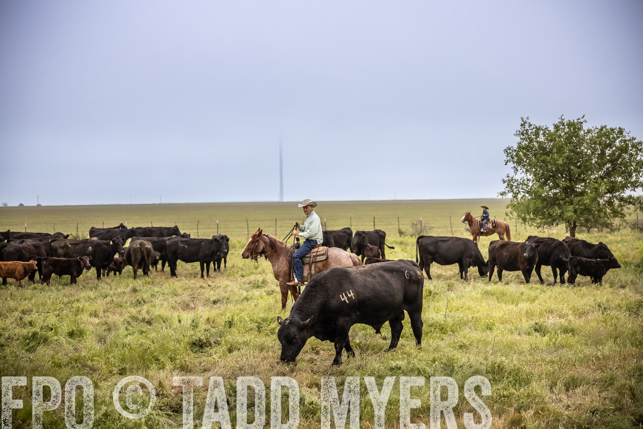 TMyers_PP_CircleBarRanch_TruscottTX_April2024-511528