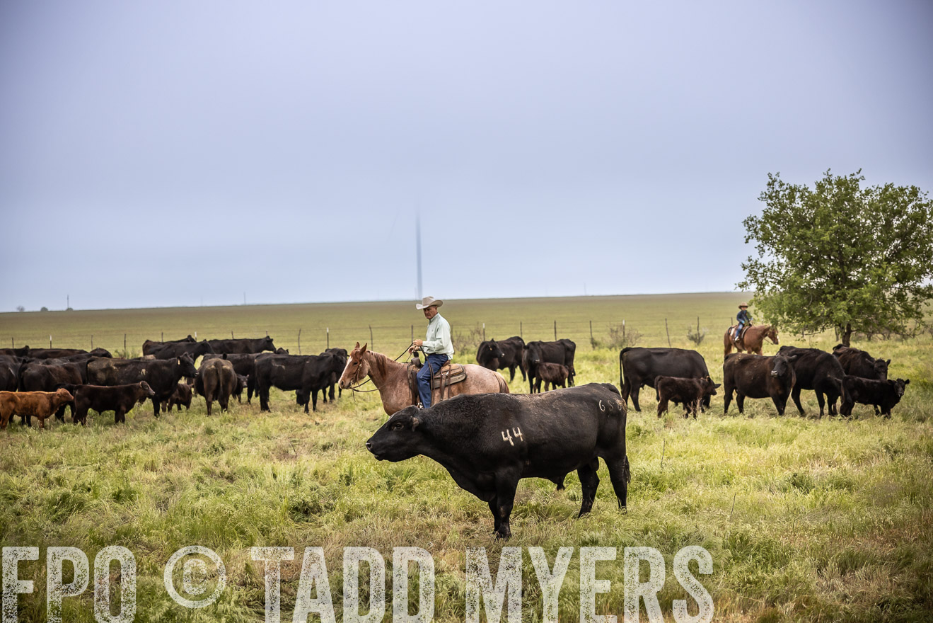 TMyers_PP_CircleBarRanch_TruscottTX_April2024-511531