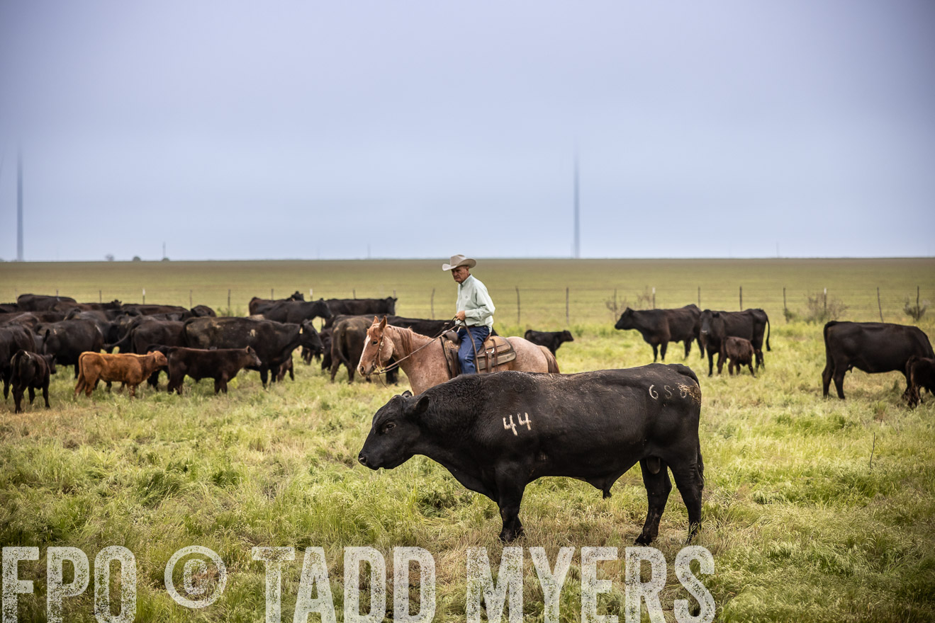 TMyers_PP_CircleBarRanch_TruscottTX_April2024-511534