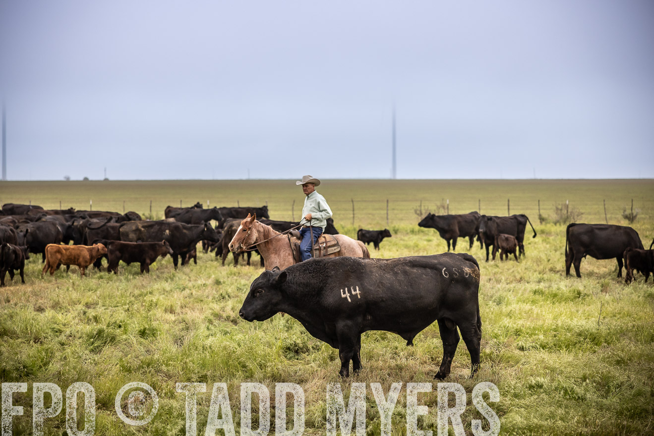 TMyers_PP_CircleBarRanch_TruscottTX_April2024-511536
