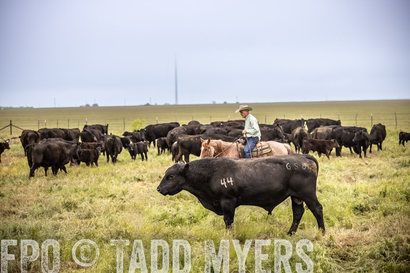 TMyers_PP_CircleBarRanch_TruscottTX_April2024-511546