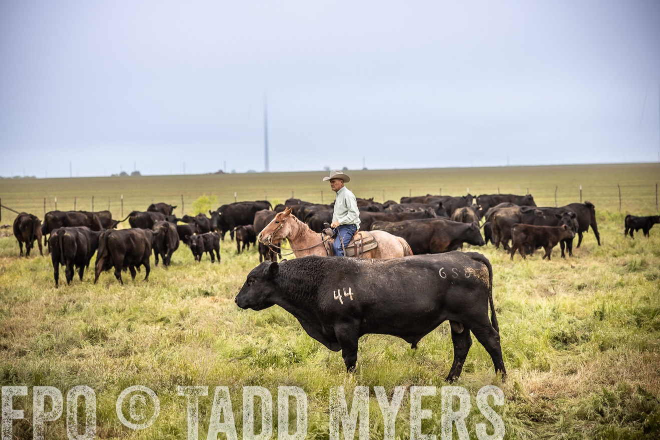 TMyers_PP_CircleBarRanch_TruscottTX_April2024-511550