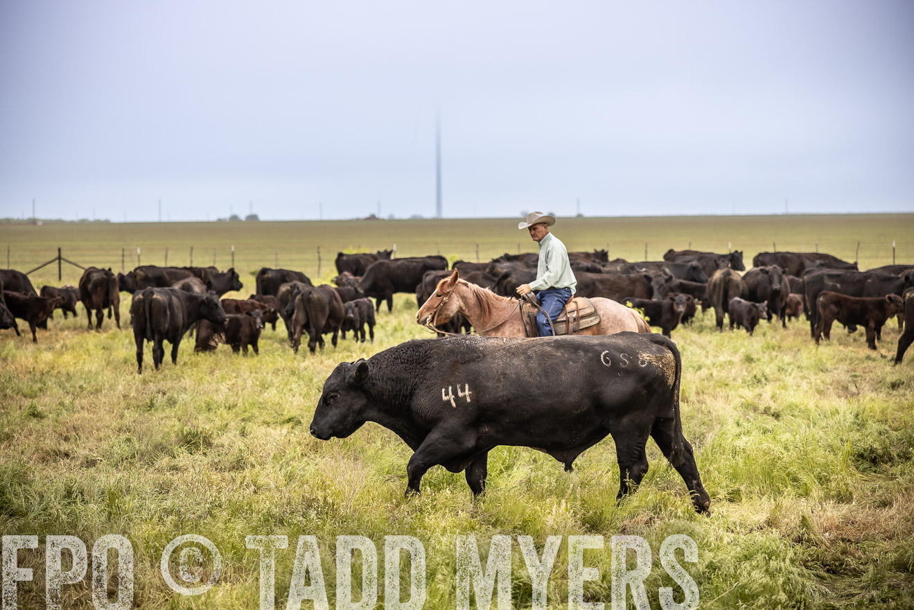 TMyers_PP_CircleBarRanch_TruscottTX_April2024-511554