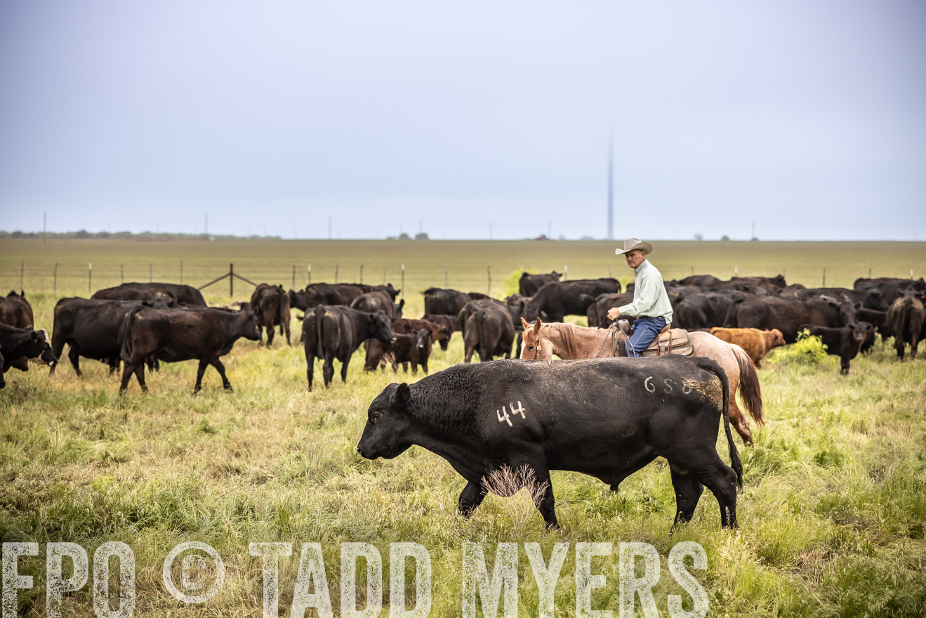 TMyers_PP_CircleBarRanch_TruscottTX_April2024-511556