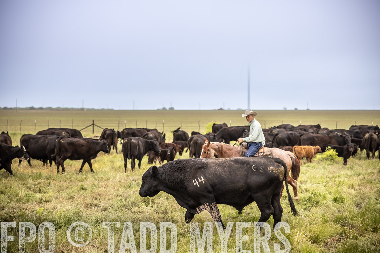 TMyers_PP_CircleBarRanch_TruscottTX_April2024-511558
