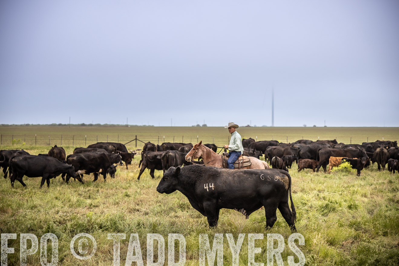 TMyers_PP_CircleBarRanch_TruscottTX_April2024-511566