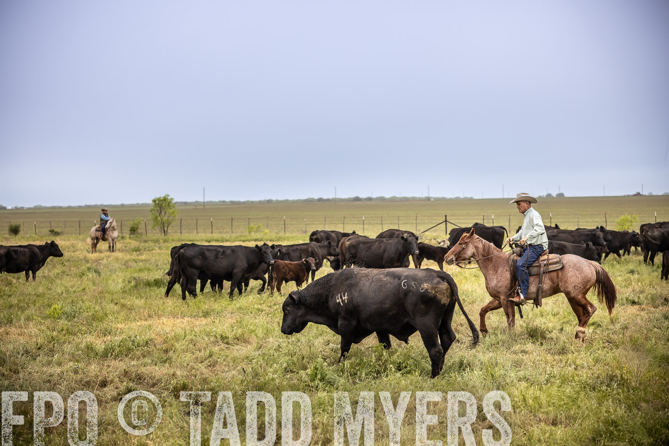 TMyers_PP_CircleBarRanch_TruscottTX_April2024-511599