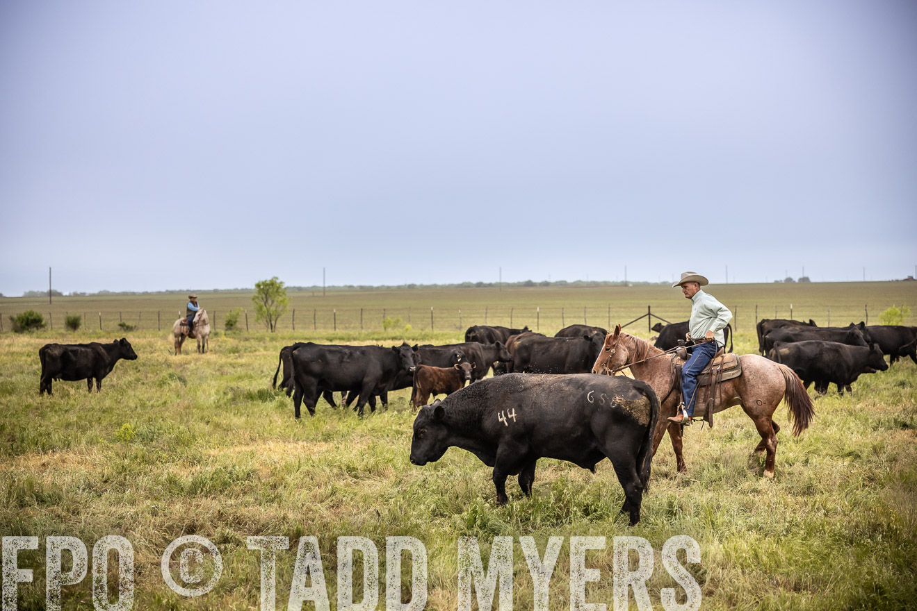 TMyers_PP_CircleBarRanch_TruscottTX_April2024-511604