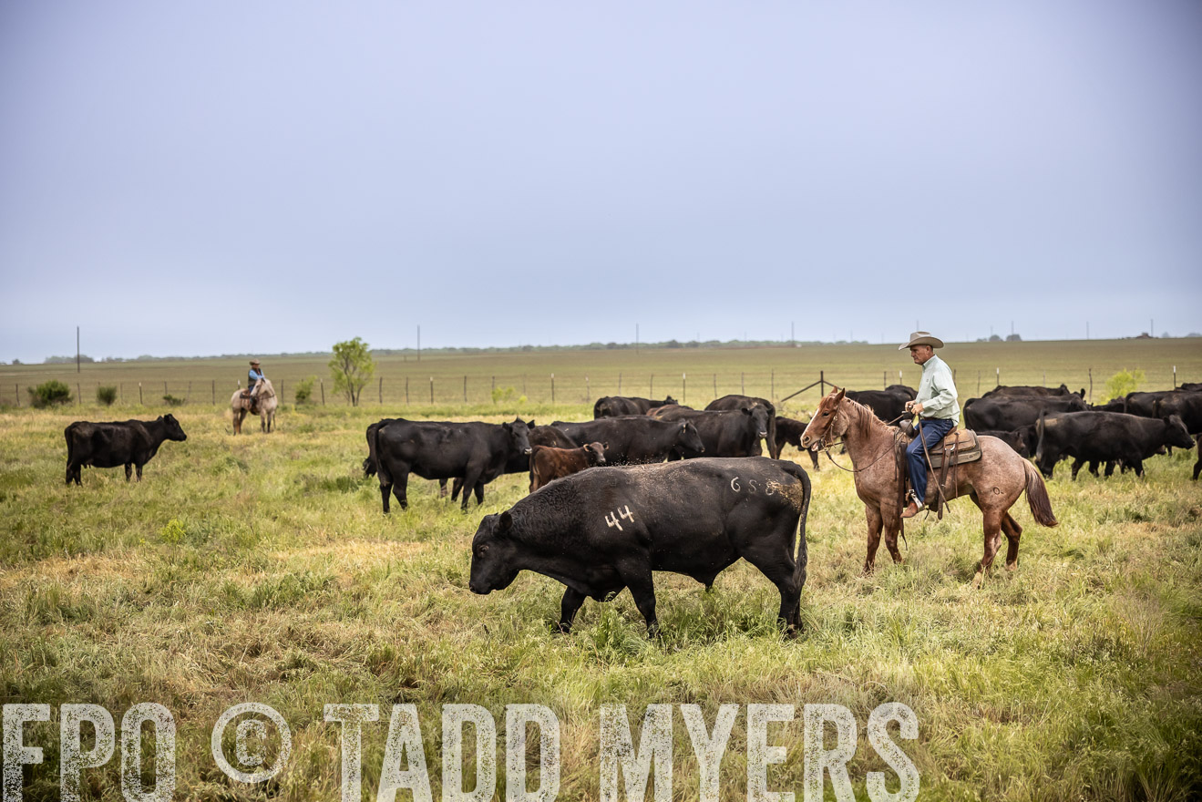TMyers_PP_CircleBarRanch_TruscottTX_April2024-511611