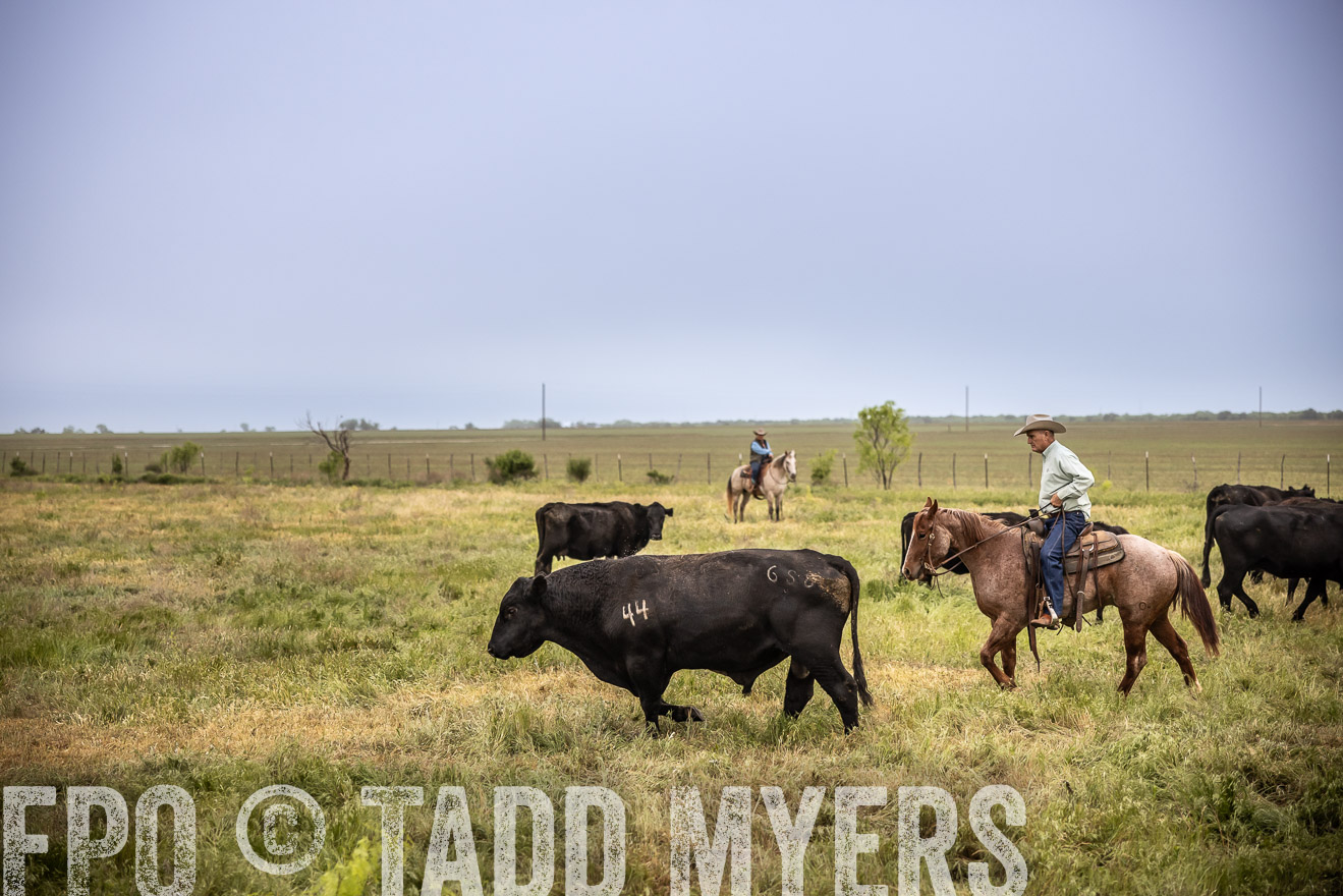 TMyers_PP_CircleBarRanch_TruscottTX_April2024-511620