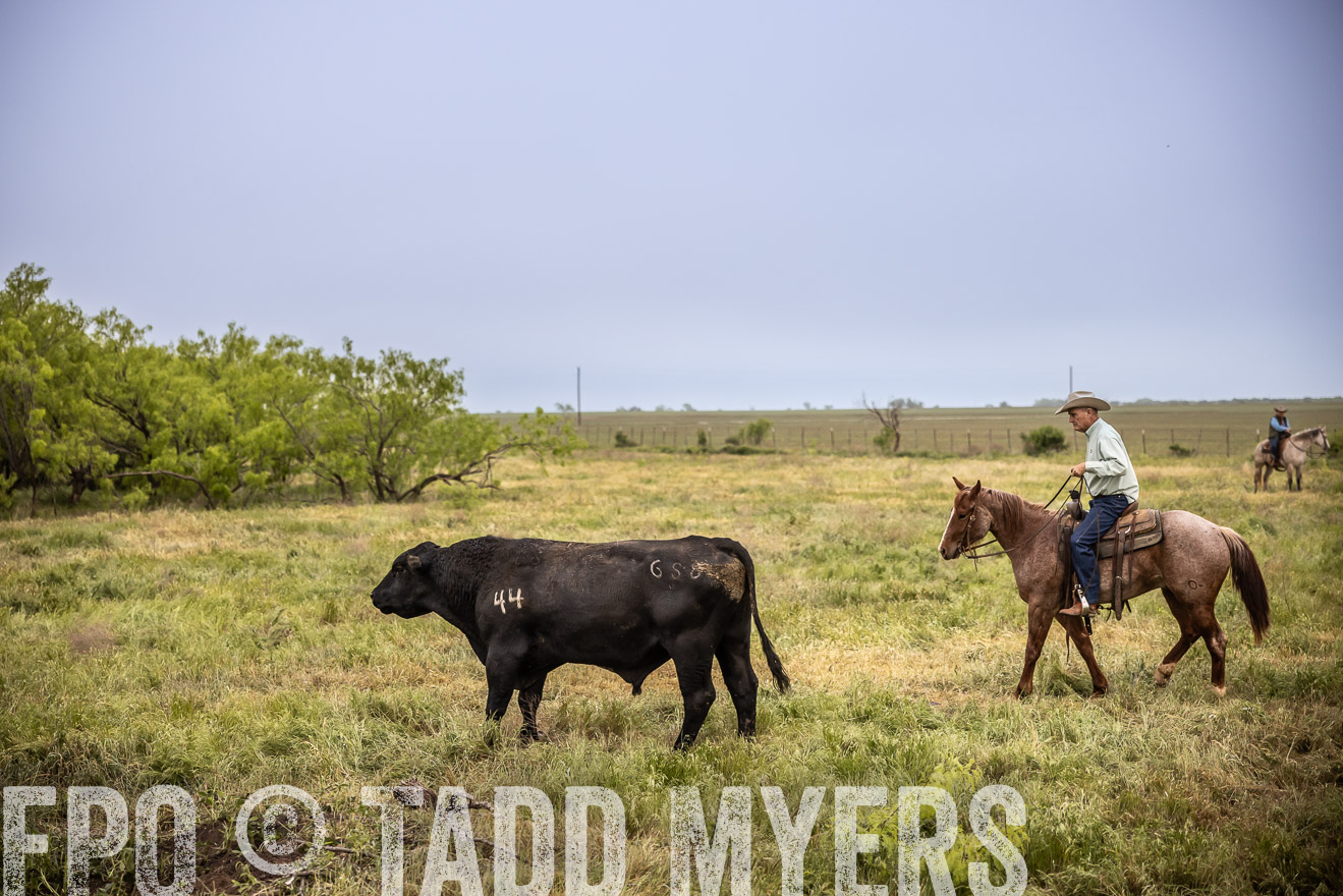 TMyers_PP_CircleBarRanch_TruscottTX_April2024-511628