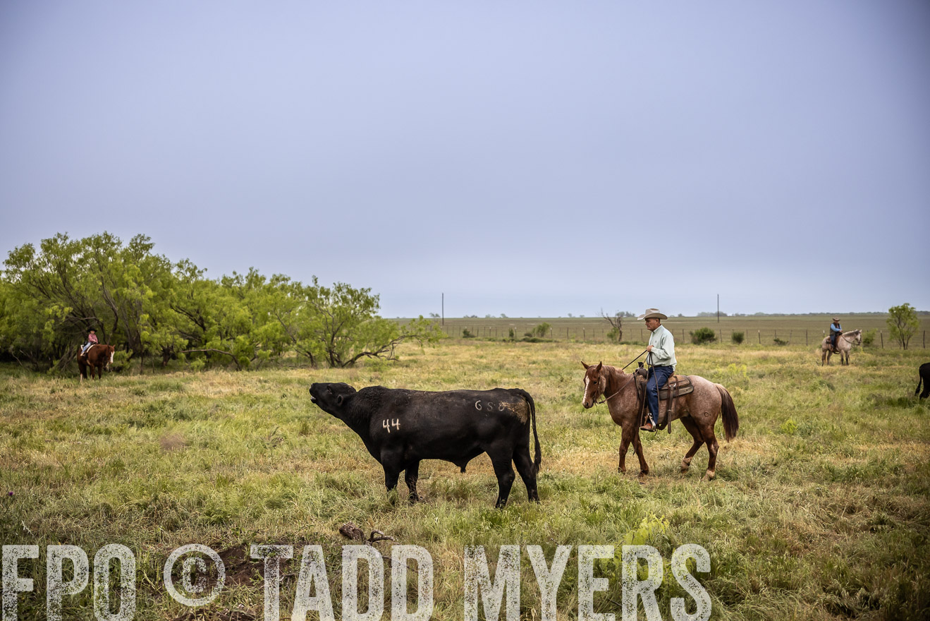 TMyers_PP_CircleBarRanch_TruscottTX_April2024-511633