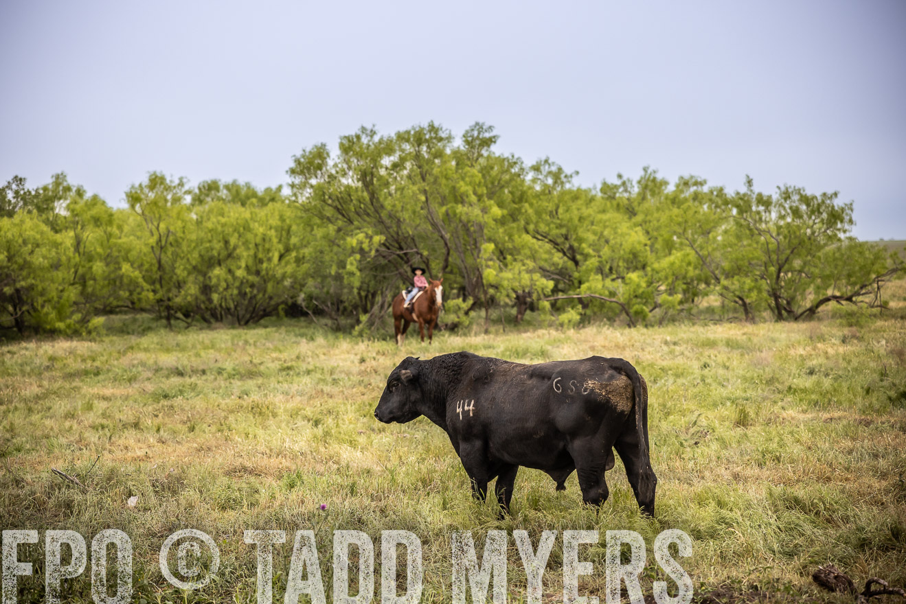 TMyers_PP_CircleBarRanch_TruscottTX_April2024-511643