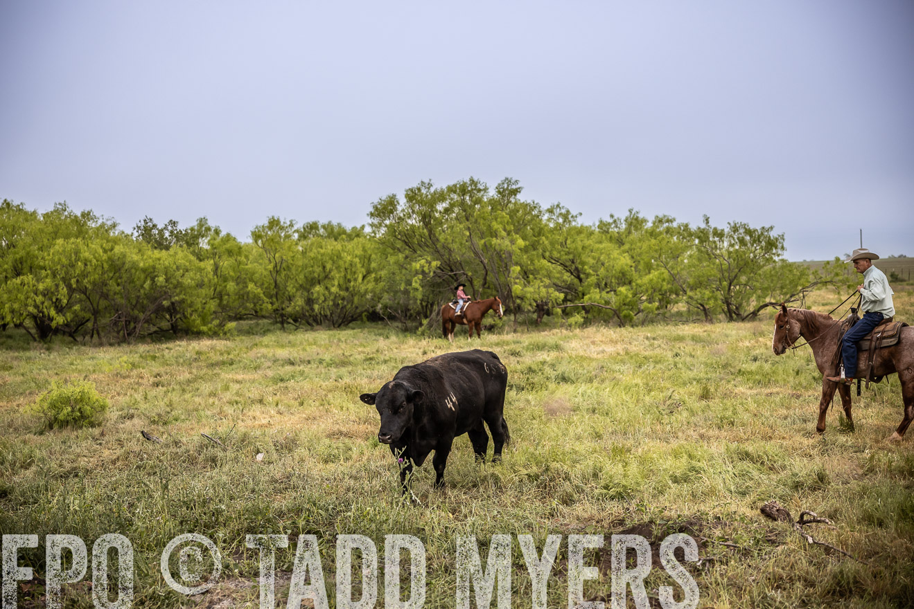 TMyers_PP_CircleBarRanch_TruscottTX_April2024-511652