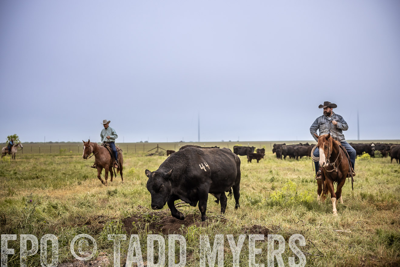 TMyers_PP_CircleBarRanch_TruscottTX_April2024-511695