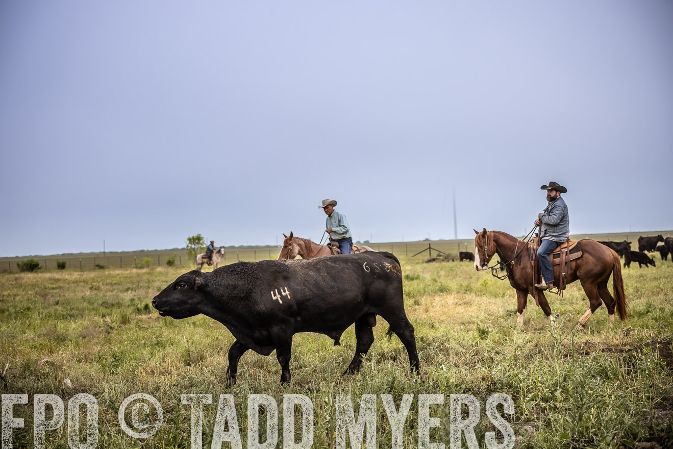 TMyers_PP_CircleBarRanch_TruscottTX_April2024-511713