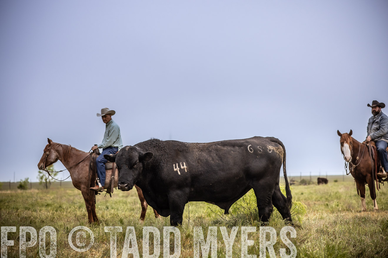 TMyers_PP_CircleBarRanch_TruscottTX_April2024-511722