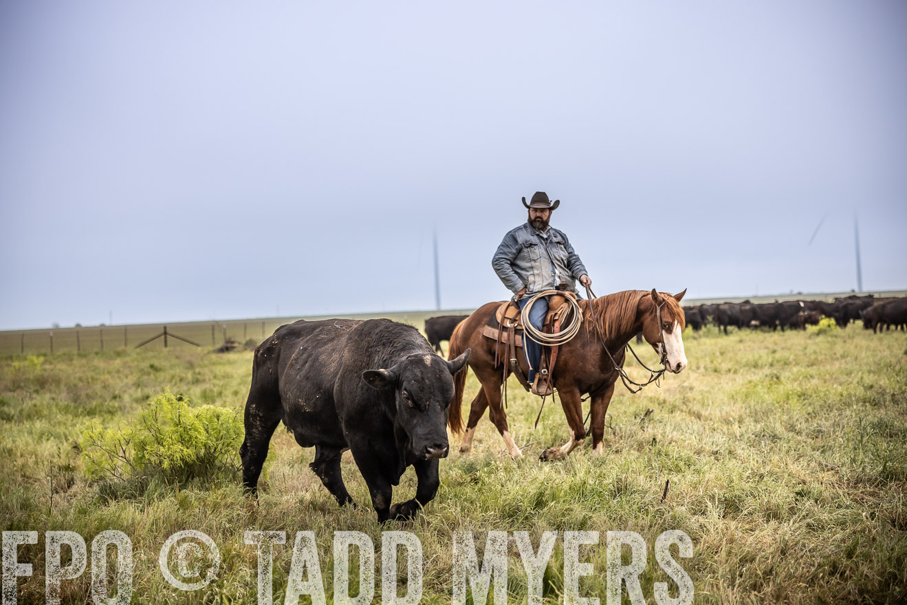TMyers_PP_CircleBarRanch_TruscottTX_April2024-511730