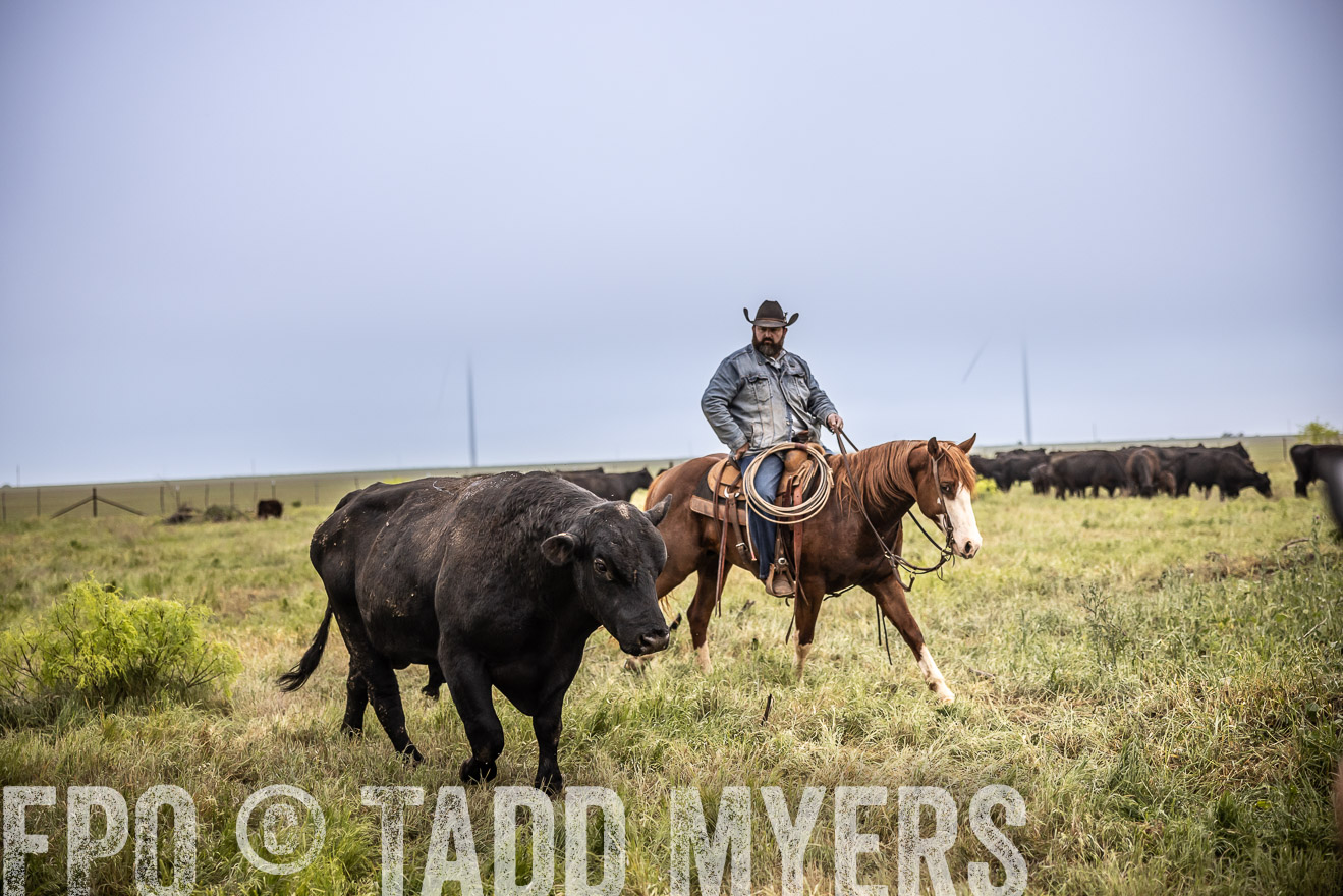 TMyers_PP_CircleBarRanch_TruscottTX_April2024-511734